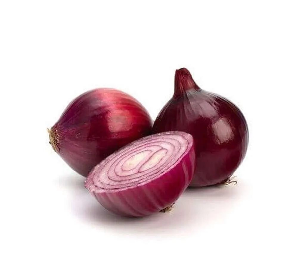بصل